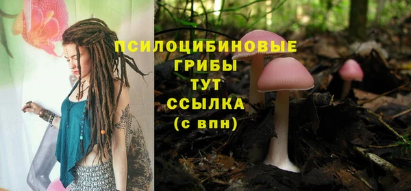 мдма Осинники