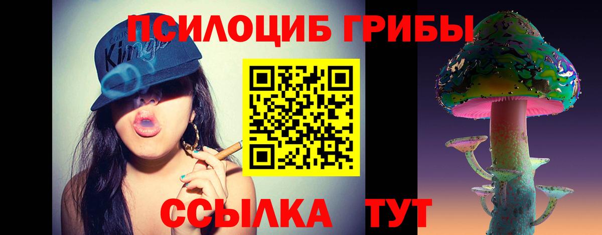 Псилоцибиновые грибы Cubensis Тобольск